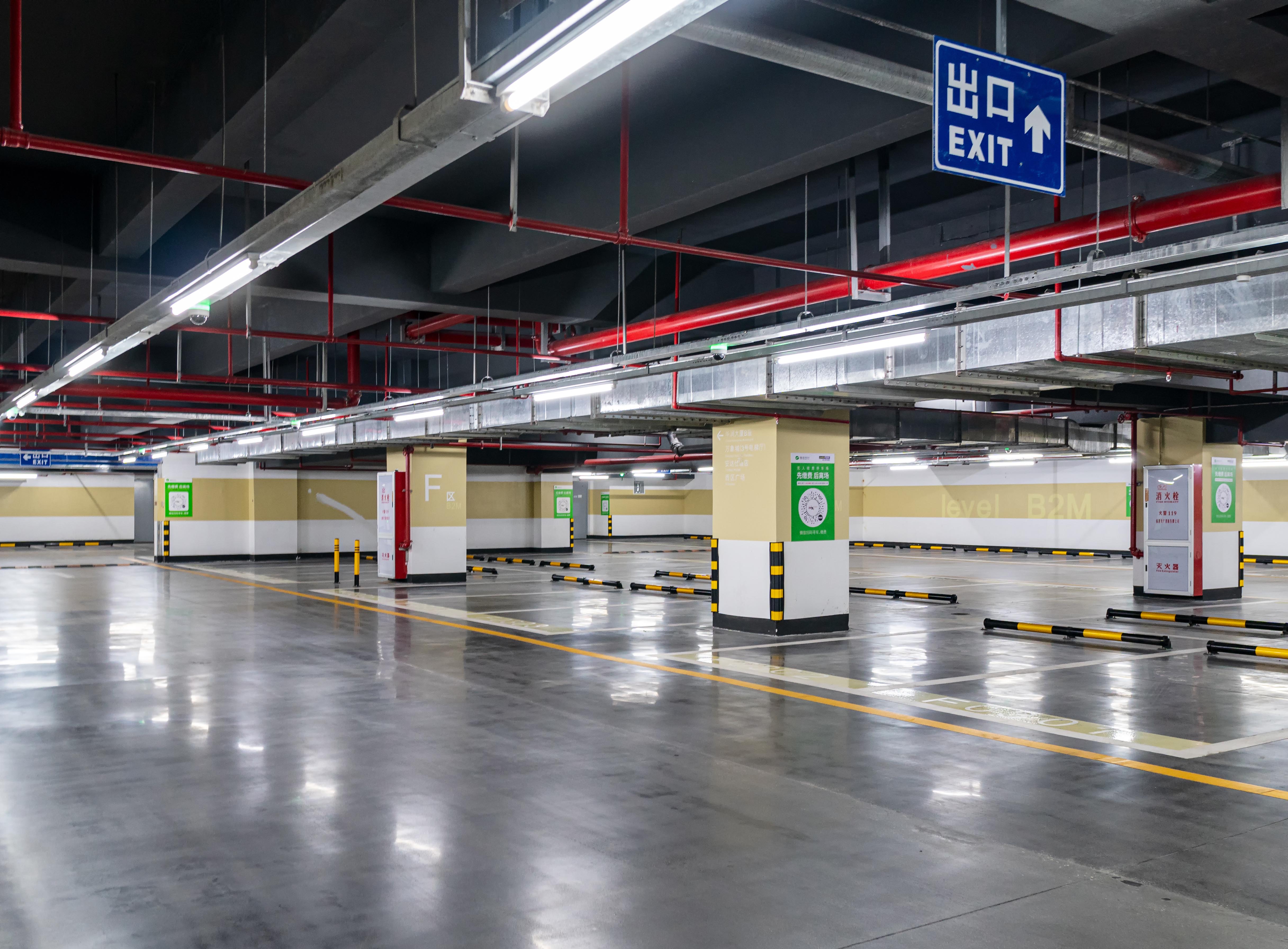 ����ͣ���� 